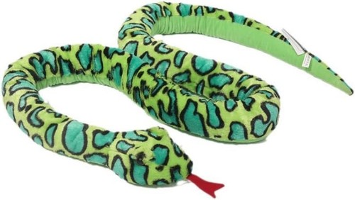 Xshelley 170 giant - cm,