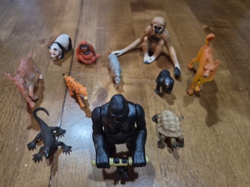 Zoo play animal - 11,