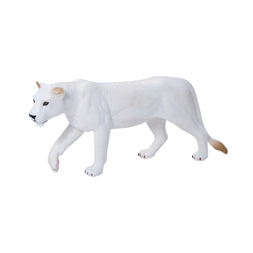Mojo white lioness wild zoo - mojo,