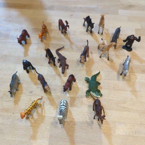 Safari zoo animals bundle - zoo,
