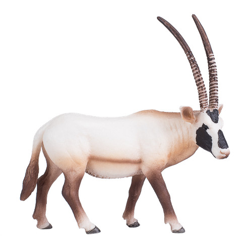 Mojo arabian oryx wild zoo - wild,