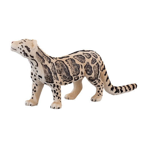 Clouded leopard wild - leopard,