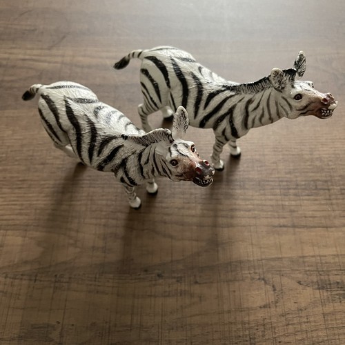 Zebra wild zoo animals play - zoo,
