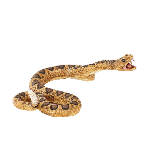 Mojo rattlesnake wild - rattlesnake,