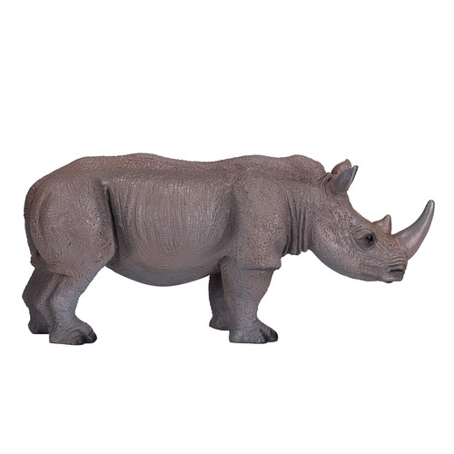 White rhinoceros wild zoo - rhinoceros,