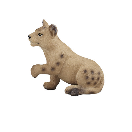 Lion cub wild zoo animals - animals, play
