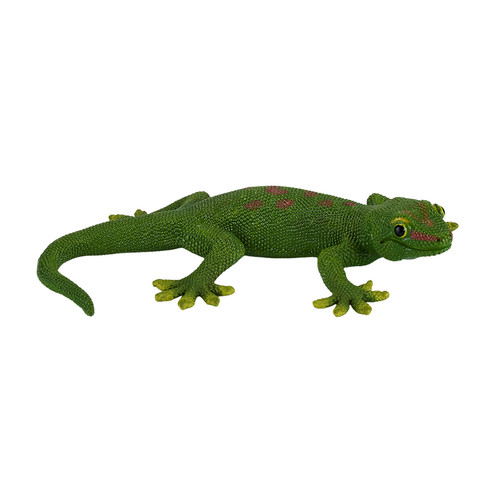 Mojo gecko wild zoo animals - wild,