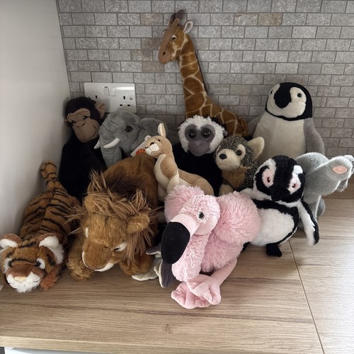 Job lot large wild - 12,