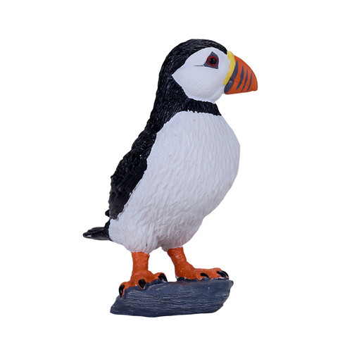 Atlantic puffin wild - puffin, zoo