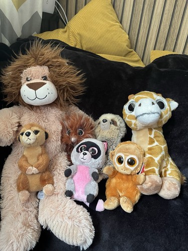 Zoo animal teddy bundle - animal,