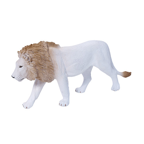 Male white lion wild - white,