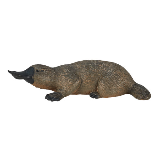 Mojo duck billed - .mojo, platypus