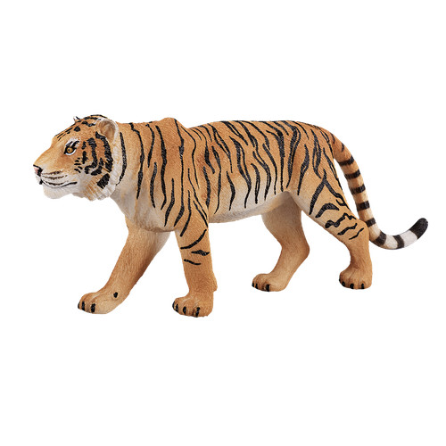 Mojo bengal tiger - bengal, zoo