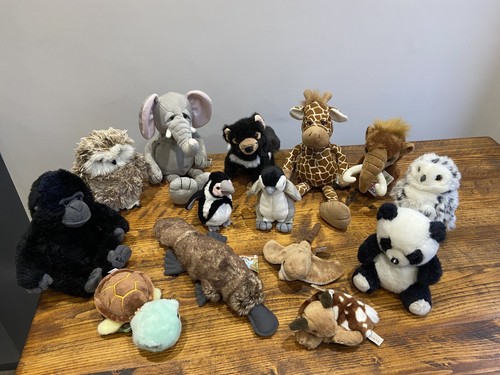 Amazing job lot - amazing, animal