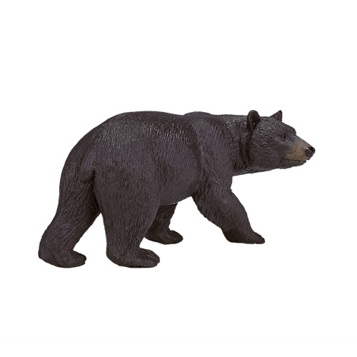 Mojo black bear wild zoo - mojo,