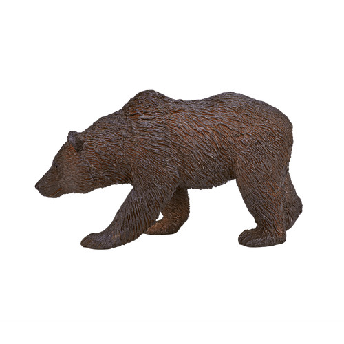 Mojo grizzly bear wild - grizzly, zoo