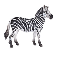 Mojo ZEBRA MARE Wild zoo