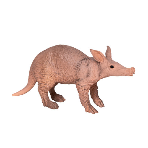 Aardvark wild zoo animals - aardvark,