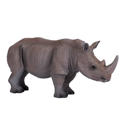 Mojo white rhinoceros - rhinoceros, zoo