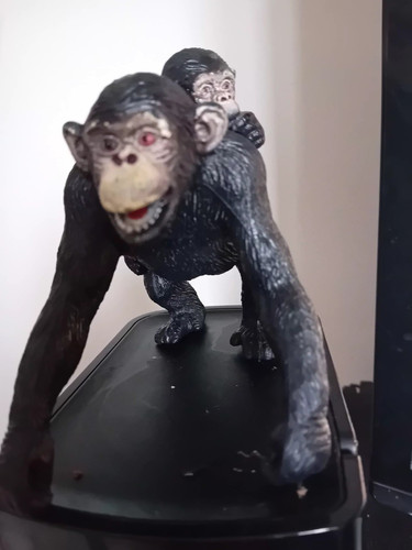 Chimpanzee with baby - with, zoo