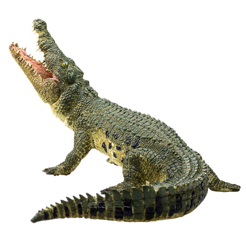 Mojo nile crocodile moving jaw - moving,
