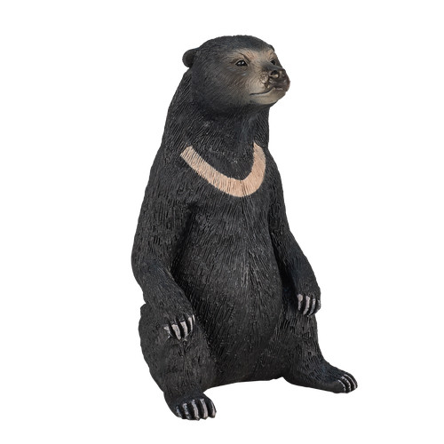 Mojo sun bear wild zoo - sun,