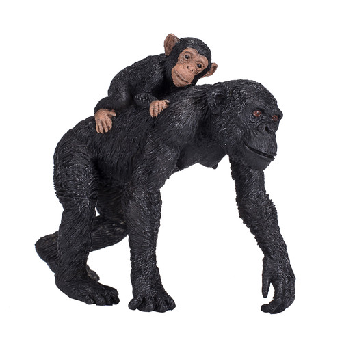 Chimpanzee with baby - chimpanzee, wild