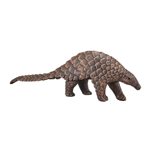 Mojo indian pangolin wild - pangolin,