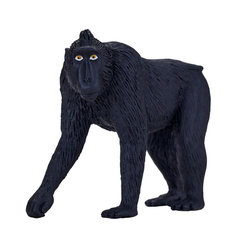 Mojo black crested macaque - mojo,