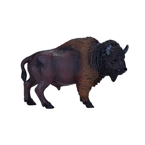 Mojo american bison wild - american,