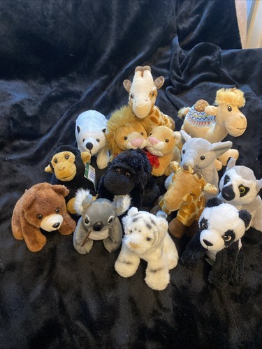 Big bundle wild - big, animals