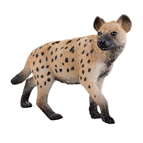 Mojo hyena wild zoo animals - mojo,