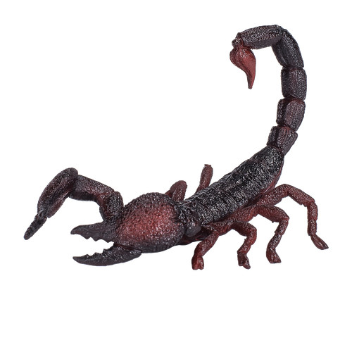 Mojo emperor scorpion - scorpion, wild